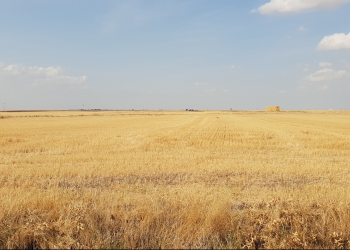 HORIZONTES INFINITOS DE LA MORAÑA