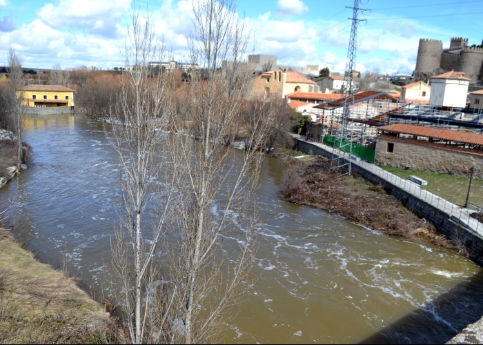 MOLINOS DE LA RIBERA DEL ADAJA EN EL ENTORNO DE ÁVILA (I) HISTORIA Y NATURALEZA