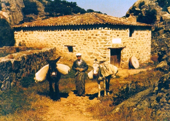 MOLINOS DE LA RIBERA DEL ADAJA EN EL ENTORNO DE ÁVILA (II)  Molinería y caminos molineros.   