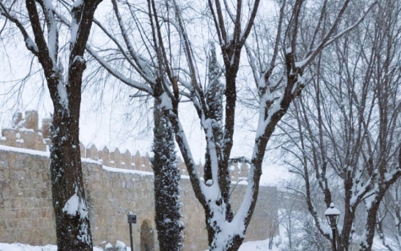 Ávila se queda sin las ayudas por los daños causados por la borrasca Filomena