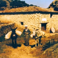 MOLINOS DE LA RIBERA DEL ADAJA EN EL ENTORNO DE ÁVILA (II)  Molinería y caminos molineros.   